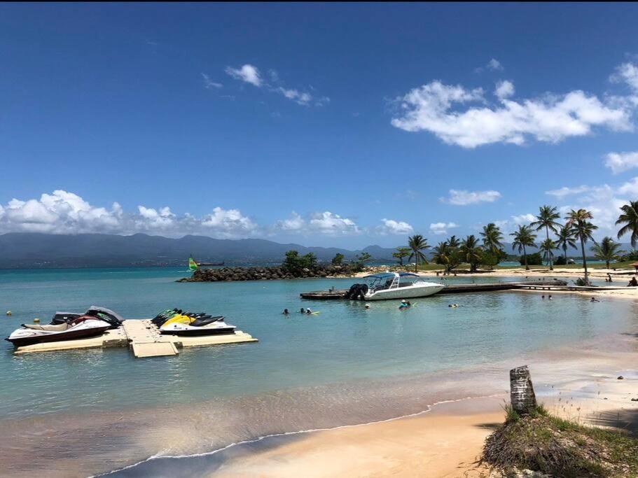 Studio Cosy Plage Et Piscine A Bas Du Fort Le Gosier  Eksteriør bilde